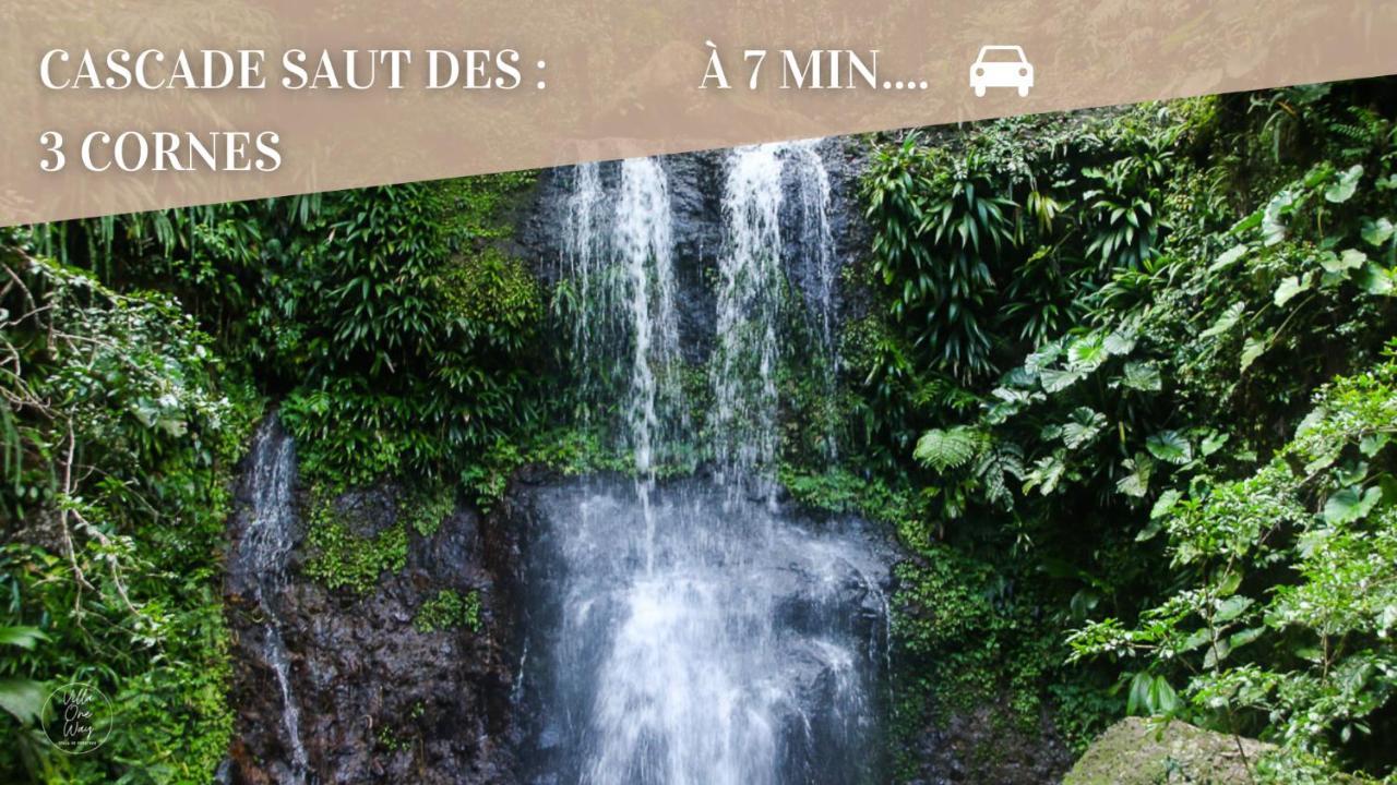 Villa Oneway, Piscine Privee, Classee 3 Etoiles Sainte-Rose